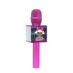 Karaoke Microphone