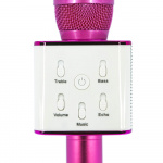 Karaoke Microphone