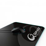 Gaming Mouse Pad FLX900
