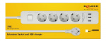 DE-LOCK Grenuttag med 4x CEE 7/3, 3x USB Type-A portar, petskydd, strö