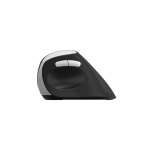 Mouse EV250 2.4 GHz Wireless Optical Black Mouse EV250 2.4 GHz Wireless Optical Black