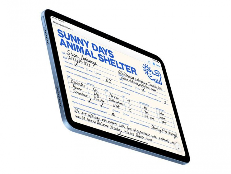 Apple 10.9-inch iPad Wi-Fi + Cellular 64GB - Blue