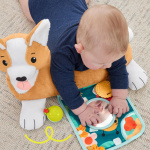 Fisher Price 3-in-1 Puppy Tummy Wedge