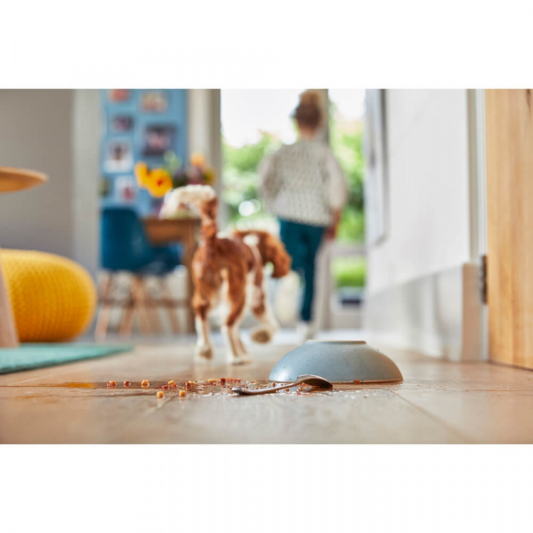 MultiClean Crosswave C3 Select