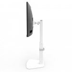 Monitor Arm Desk Mount White