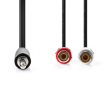 Nedis Stereo-Audiokabel | 3,5 mm Male | 2x RCA Female | Vernikkeld | 0.20 m | Rond | Doos