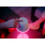 Philips Hue Go Portabel bordslampa Vit/Salviagrön