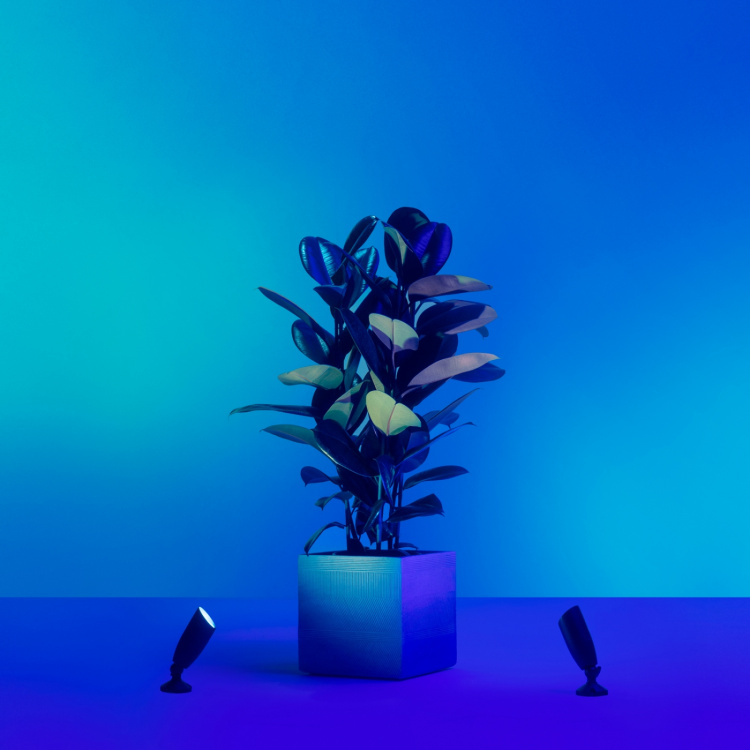 WiZ WiFi Smart LED Spotlight Färg + Varm-kallvit 12V Startkit