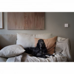 nexa MWST-1812 Väggsändare 2-kanaler nexa MWST-1812 Väggsändare 2-kanaler