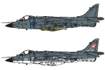 AIRFIX Bae Sea Harrier FRS1 1/72 AIRFIX Bae Sea Harrier FRS1 1/72