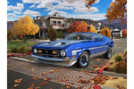 Revell Model Set 71 Ford Mustang Boss 351 1:25 Revell Model Set 71 Ford Mustang Boss 351 1:25