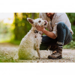 TICKLESS Fästingskydd ECOPET TICKLESS Fästingskydd ECOPET