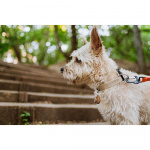 TICKLESS Fästingskydd ECOPET TICKLESS Fästingskydd ECOPET