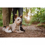 TICKLESS Fästingskydd ECOPET TICKLESS Fästingskydd ECOPET