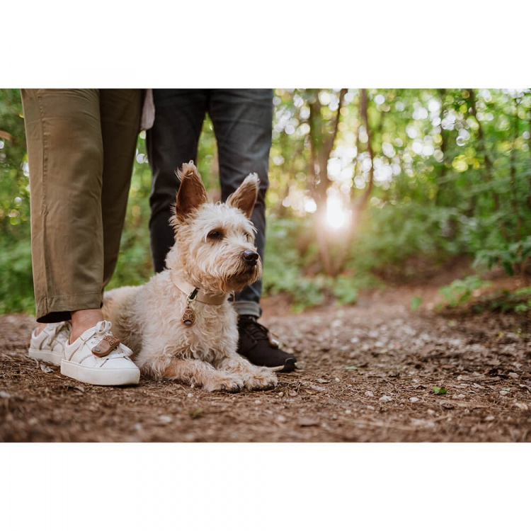 TICKLESS Fästingskydd ECOPET TICKLESS Fästingskydd ECOPET