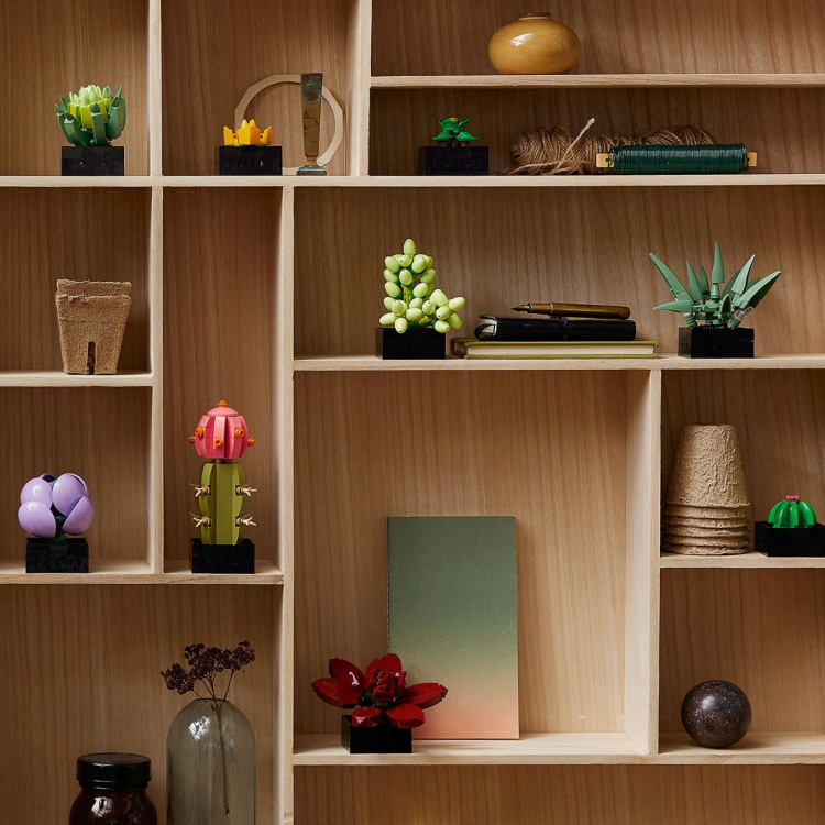 LEGO Botanical 10309 - Succulents