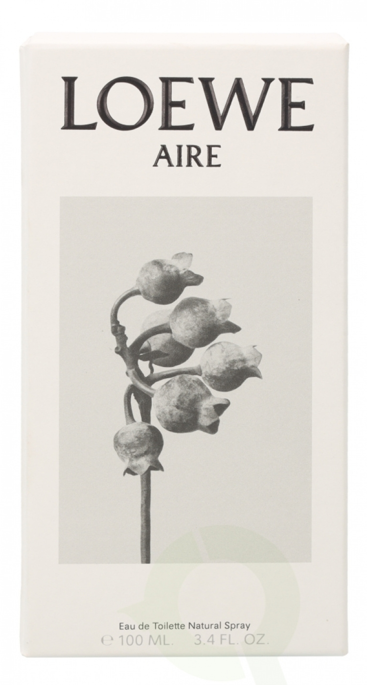 Loewe Aire Edt Spray 100 ml