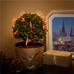 Goobay 10 LED lichtketting  Goobay 10 LED lichtketting