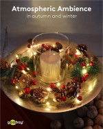 Goobay 20 LED lichtketting met zilverdraad 