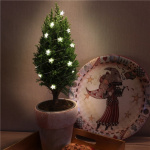 Goobay 20 LED lichtketting met zilverdraad  Goobay 20 LED lichtketting met zilverdraad