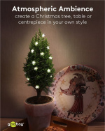 Goobay 20 LED lichtketting met zilverdraad  Goobay 20 LED lichtketting met zilverdraad