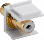 Goobay Keystone-module cinch/RCA 2 x cinch-bus, wit, verguld