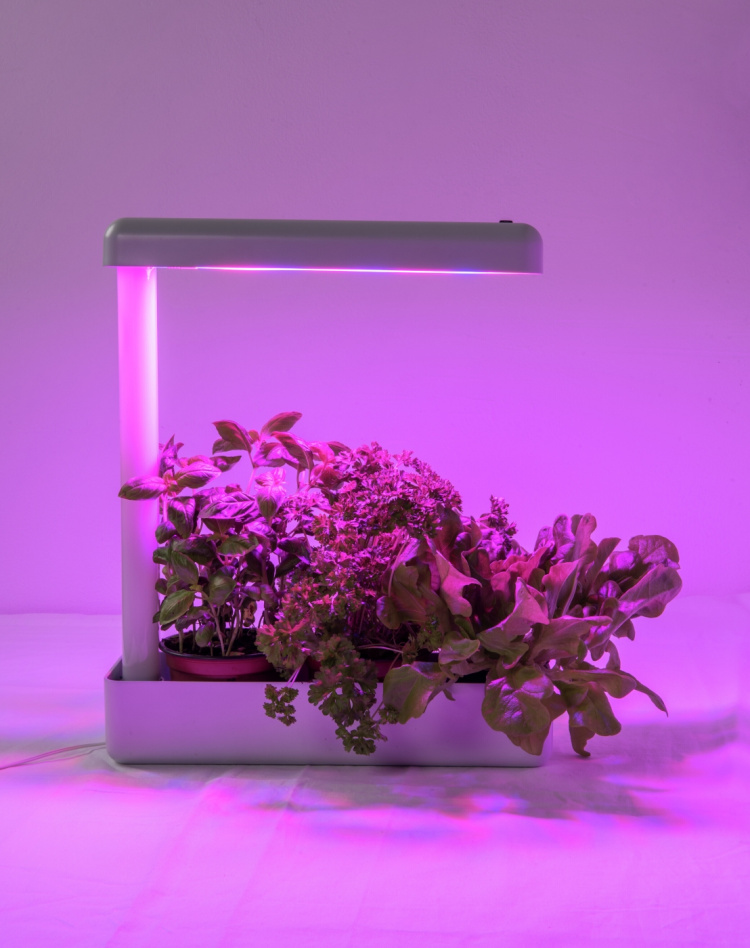 Airam Herby -kasvivalaisin, 10W/840, 650 lm, valkoinen Airam Herby -kasvivalaisin, 10W/840, 650 lm, valkoinen