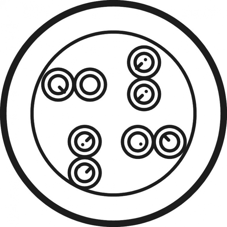 Goobay CAT 6 netwerkkabel, U/UTP, wit CCA kopermengsel voor SOHO-toepassingen, AWG 23/1 (solid), PVC, 305 m