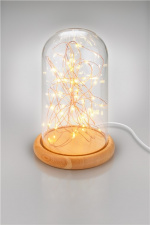 Goobay Glaskupa med mikro LED mikro-ljusslinga med träplatta, 115 cm USB-kabel, 5 m ljuskedja med 50 mikro-LED i varmvitt (2700 K) och strömbrytare (On/Off)