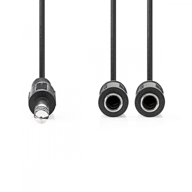 Nedis Stereo-Audiokabel | 6,35 mm Male | 2x 6,35 mm Female | Vernikkeld | 0.20 m | Rond | Doos