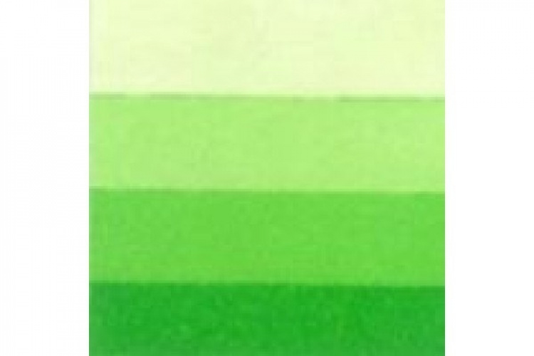 LB Charbonnel Charbo Ink 60Ml Spring Green 544 LB Charbonnel Charbo Ink 60Ml Spring Green 544