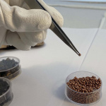 Piergiacomi Pincet met sterke dunne uiteinden