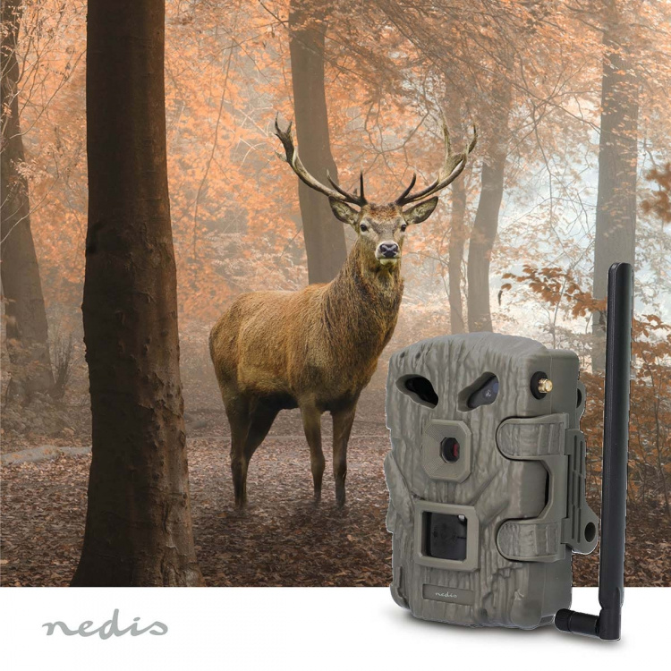 Nedis Wildcamera | 1080p@30fps | 30.0 MPixel | 2 MPixel CMOS | IP66 | 4G | Zwart No-Glow IR | Nachtzicht | Kijkhoek: 50 ° | Bewegingssensor | Detectiehoek: 50 ° | Detectiebereik: 20 m | LCD-Scherm | Groen Nedis Wildcamera | 1080p@30fps | 30.0 MPixel | 2 MPixel CMOS | IP66 | 4G | Zwart No-Glow IR | Nachtzicht | Kijkhoek: 50 ° | Bewegingssensor | Detectiehoek: 50 ° | Detectiebereik: 20 m | LCD-Scherm | Groen