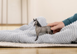 Schleich Horse Club 13955 Selle français-sto