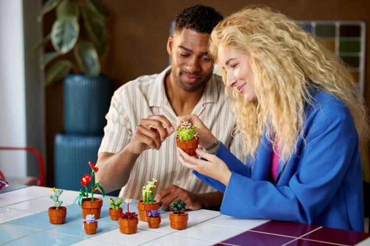 LEGO Botanical 10329 - Tiny Plants