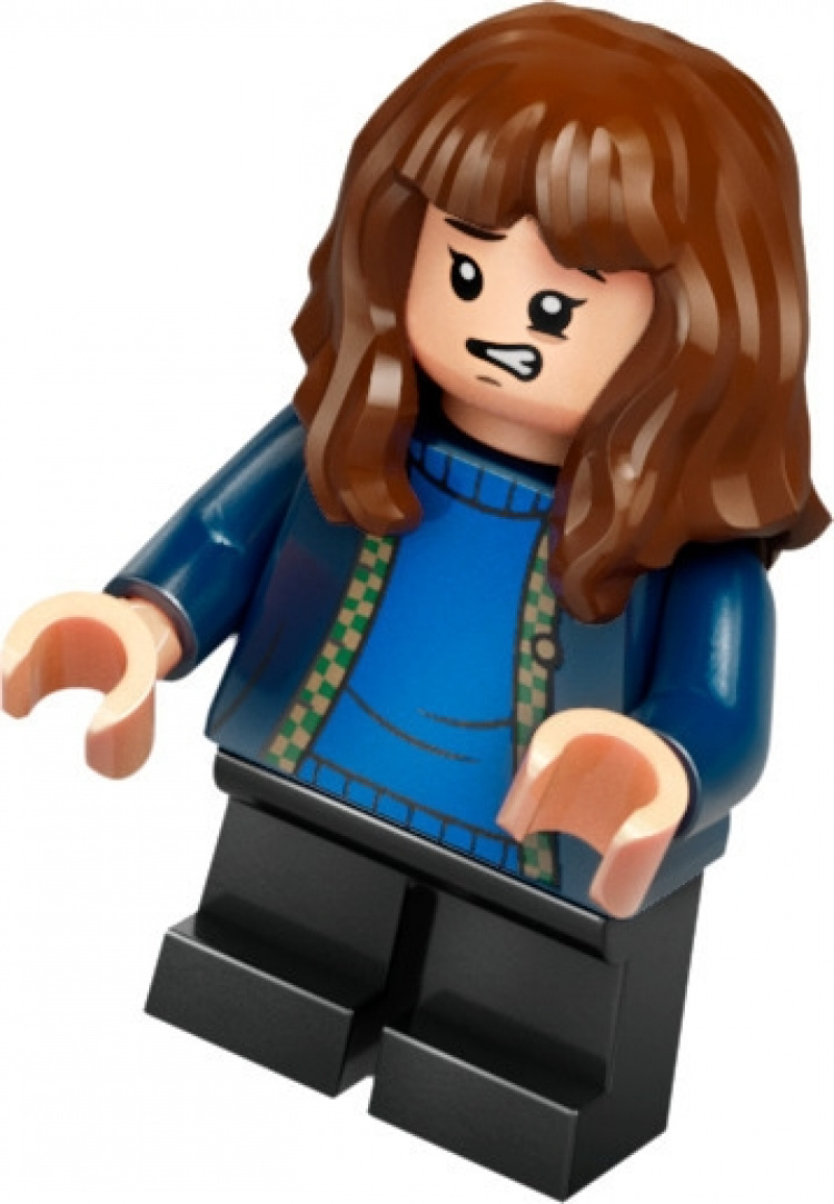 LEGO Harry Potter 76428 - Hagrid\'s Hut: An Unexpected Visit LEGO Harry Potter 76428 - Hagrid\'s Hut: An Unexpected Visit