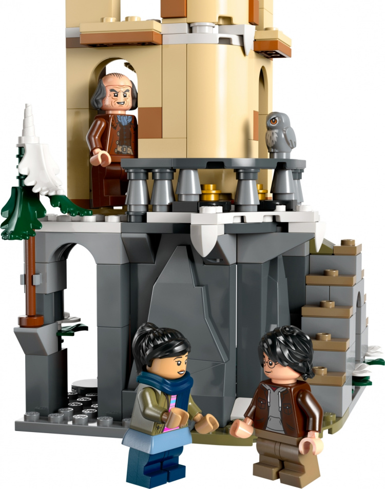 LEGO Harry Potter 76430 - Hogwarts™ Castle Owlery