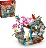 LEGO Ninjago 71819 - Drakens stenreservat