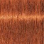 Schwarzkopf Professional Igora Vibrance Kit 7-77 Medium Blonde Copper Extra Schwarzkopf Professional Igora Vibrance Kit 7-77 Medium Blonde Copper Extra