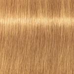 Schwarzkopf Professional Igora Vibrance Kit 9.5-5 Gold Toner Schwarzkopf Professional Igora Vibrance Kit 9.5-5 Gold Toner