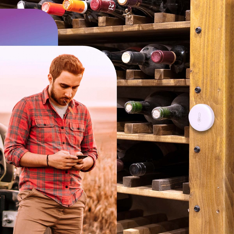 Alecto Smart Zigbee temperatuur- en vochtigheidssensor