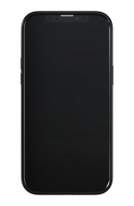 Richmond & Finch iPhone 13 Pro Max Freedom Case, Emerald Zebra Richmond & Finch iPhone 13 Pro Max Freedom Case, Emerald Zebra