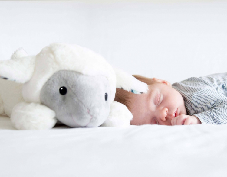 Zazu Lizzy het Lammetje knuffel, muziek Zazu Lizzy het Lammetje knuffel, muziek