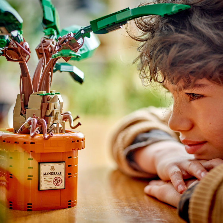 LEGO Harry Potter 76433 - Alruuna