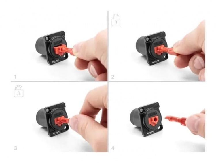 DeLOCK RJ45 Port Blocker Set for RJ45 jack 10 pieces