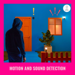 WiZ Utomhuskamera WiZ Utomhuskamera