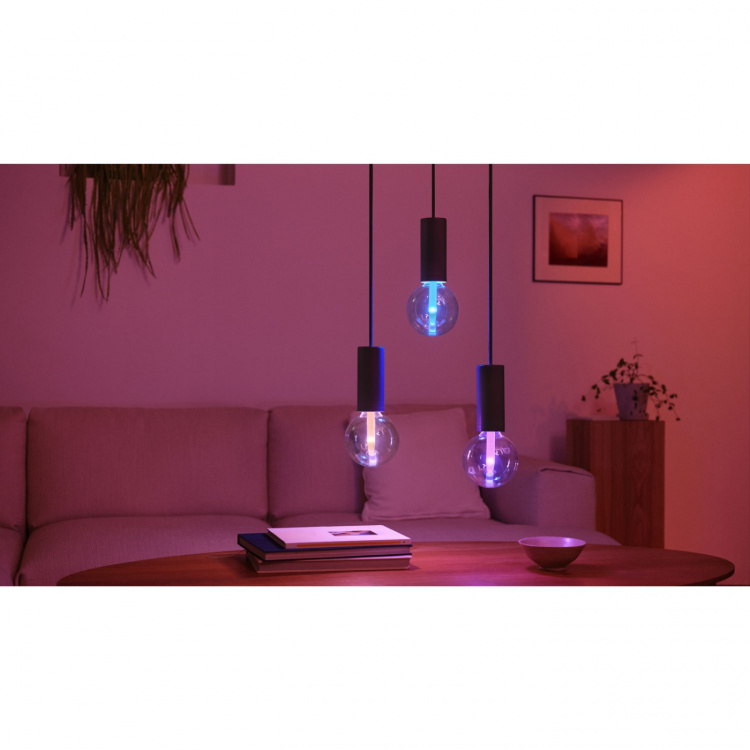 Philips Hue Lightguide Globe 95mm E27 White and Color Ambiance