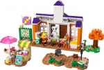 LEGO ® Animal Crossing™ 77052 - K.K.\'s concert op het plein LEGO ® Animal Crossing™ 77052 - K.K.\'s concert op het plein