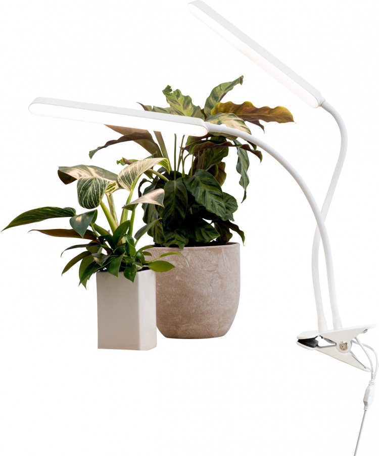 Airam Tulip kweeklamp, 16W/840, 780 lm, wit