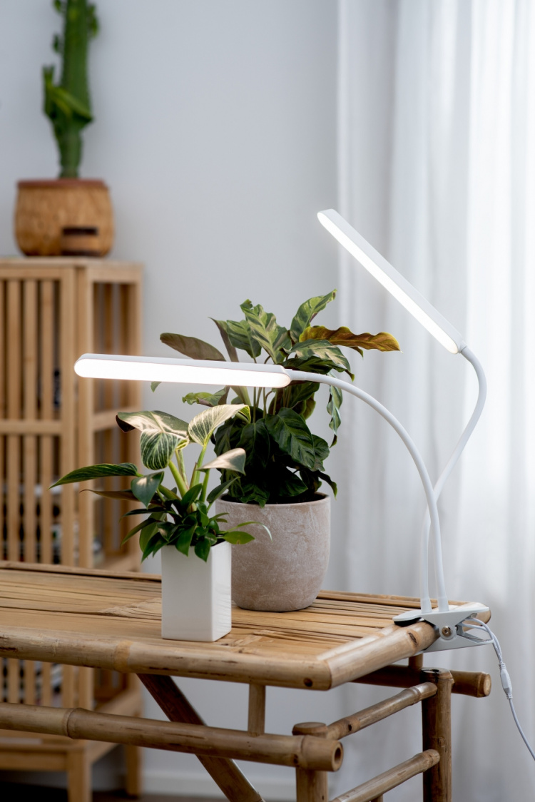 Airam Tulip kweeklamp, 16W/840, 780 lm, wit